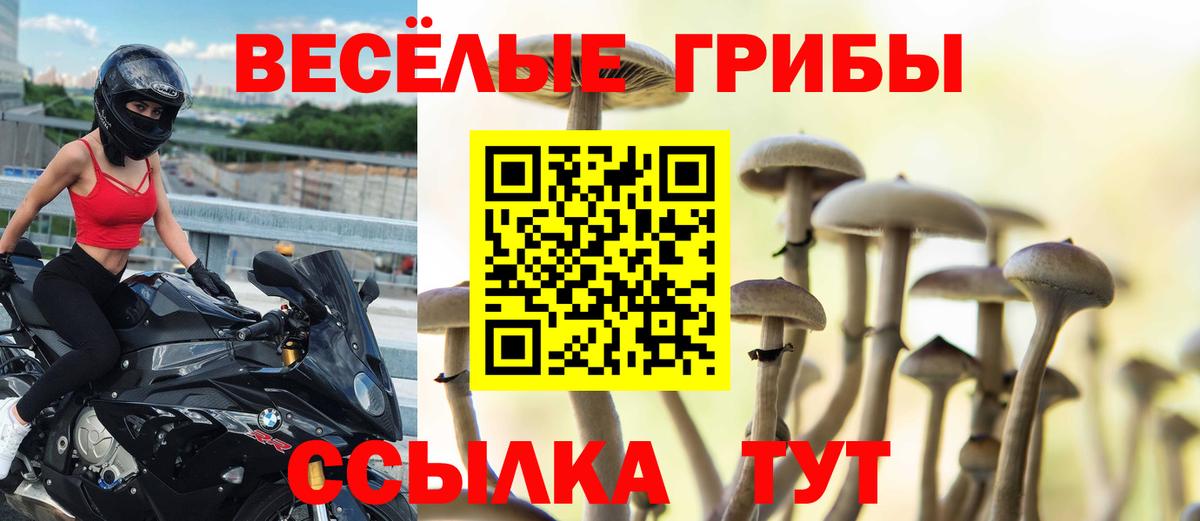 Псилоцибиновые грибы Psilocybine cubensis  Вход с VPN  что такое наркотик  Наро-Фоминск 