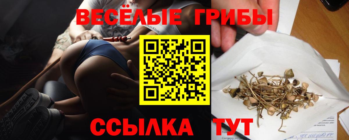 Галлюциногенные грибы Magic Shrooms Наро-Фоминск